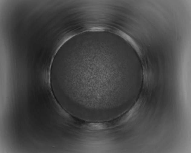 X0000092221194200709211002