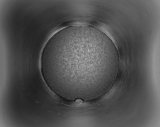 X0000092221195200709211002