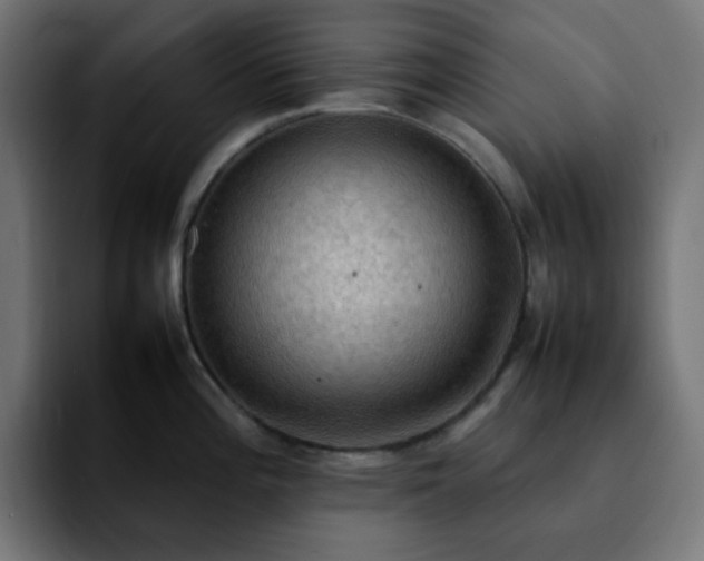 X0000092221196200709211002