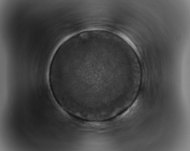 X0000092221197200709211002