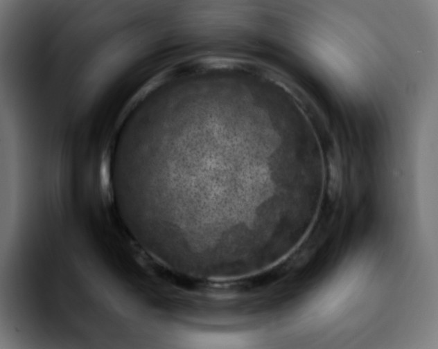 X0000092221198200709211002