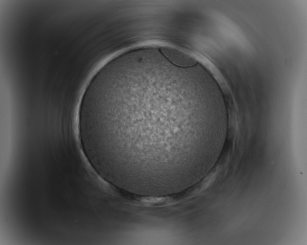 X0000092221199200709211002