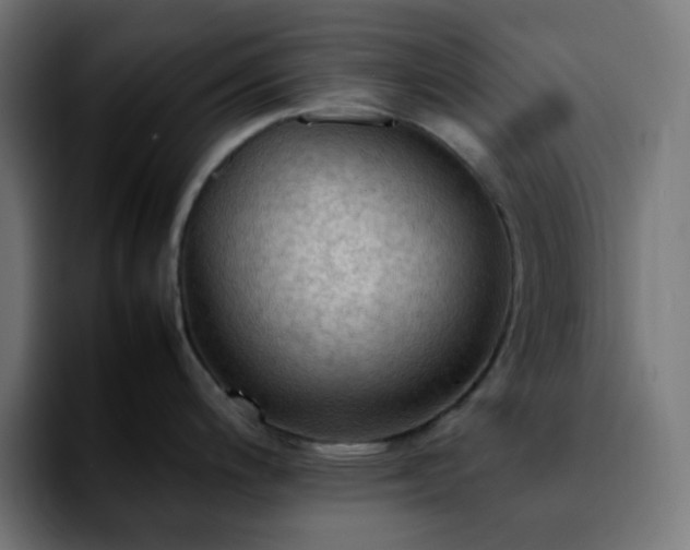 X0000092221200200709211002