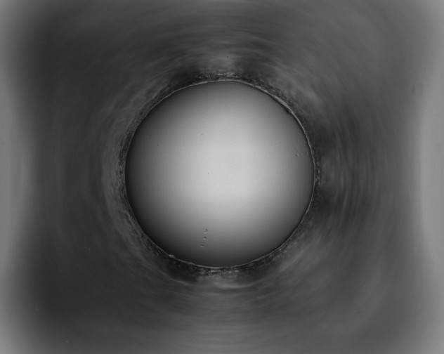 X0000092221201200709211001