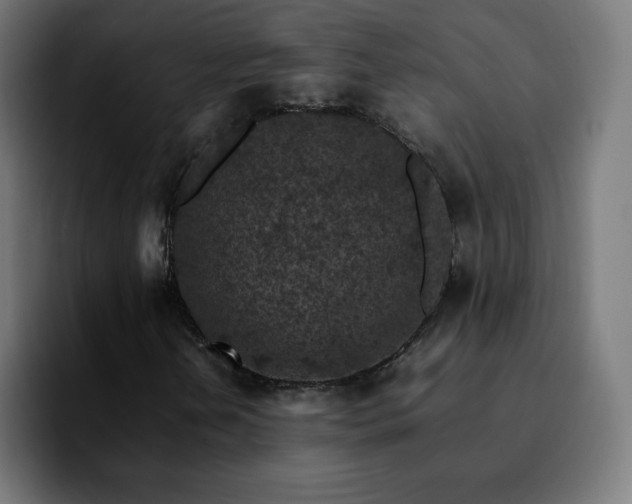 X0000092221202200709211001