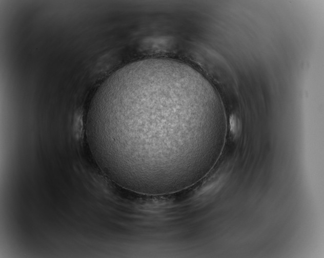 X0000092221203200709211001