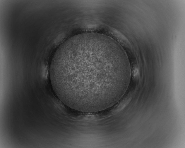 X0000092221204200709211001