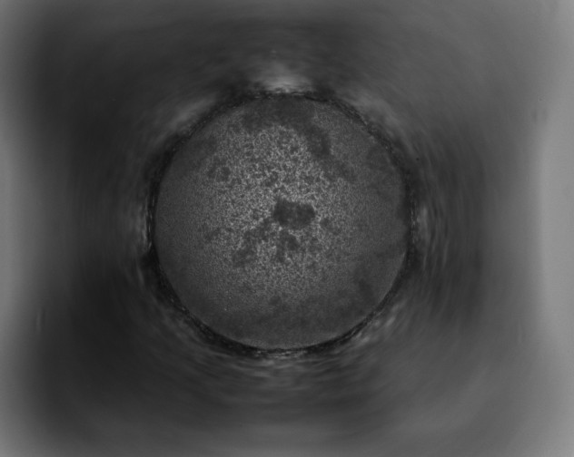 X0000092221205200709211001