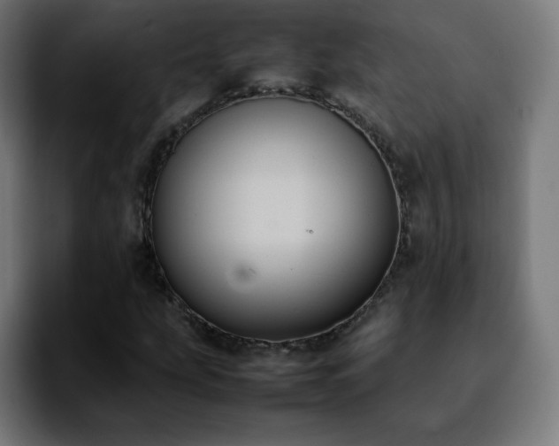 X0000092221207200709211001
