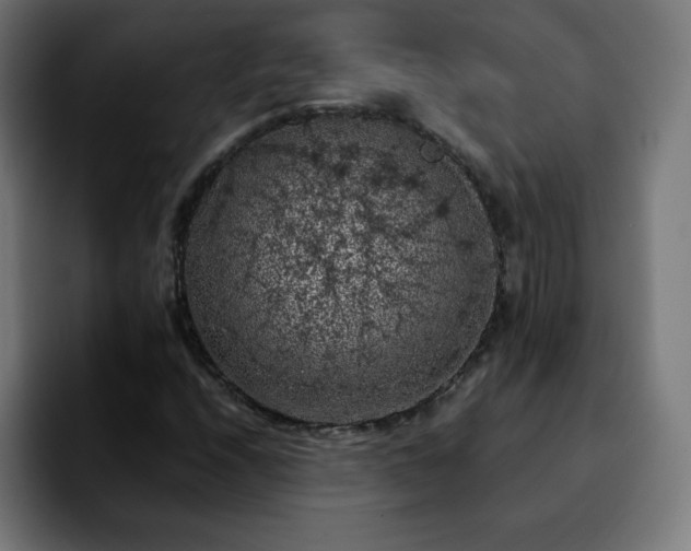 X0000092221208200709211001