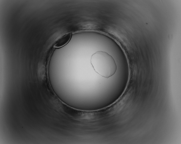 X0000092221211200709211001