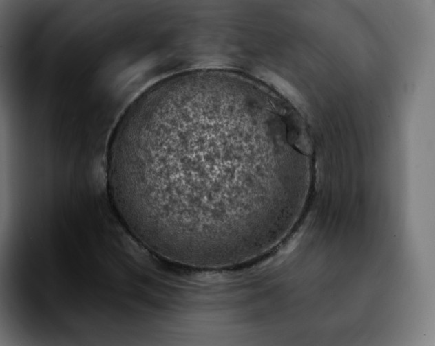 X0000092221212200709211001