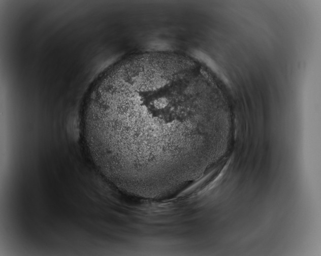 X0000092221213200709211001