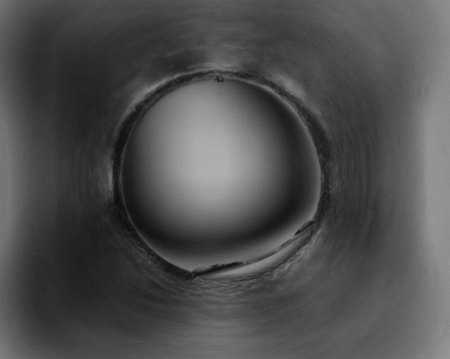 X0000092221214200709211001