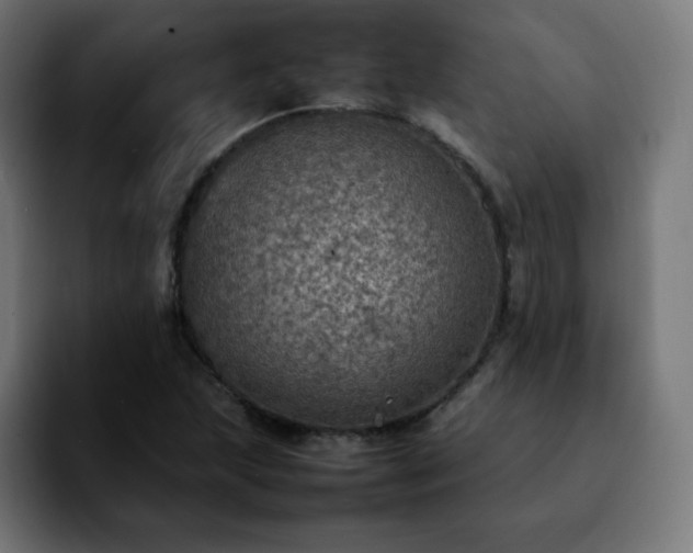 X0000092221215200709211001
