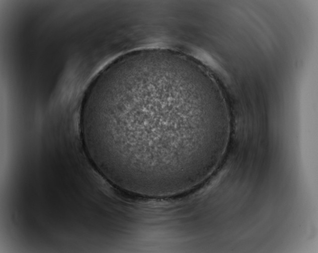 X0000092221216200709211002