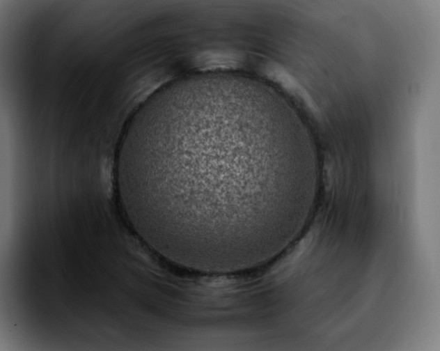 X0000092221217200709211002