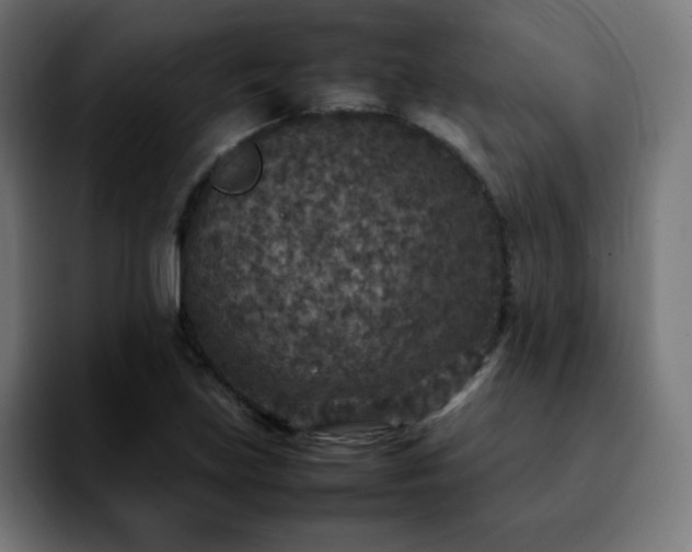 X0000092221219200709211002