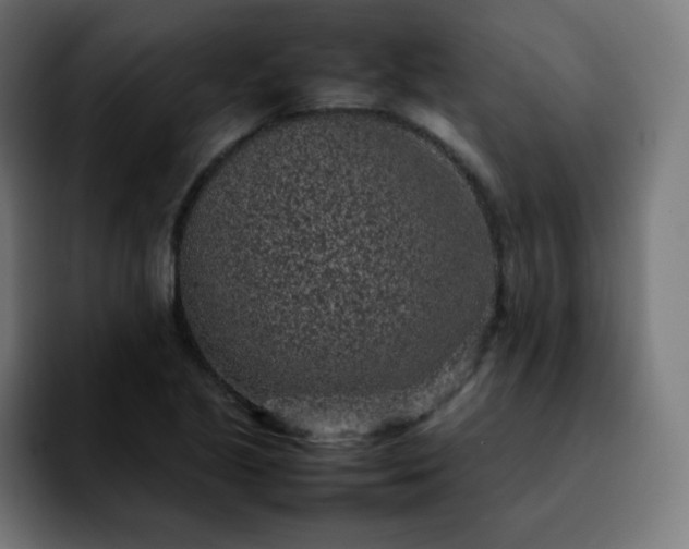 X0000092221221200709211002