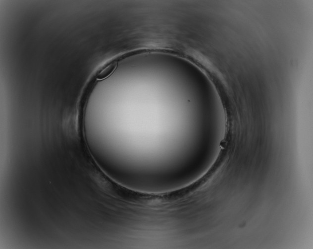X0000092221222200709211002