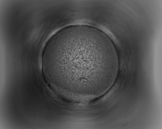 X0000092221224200709211002