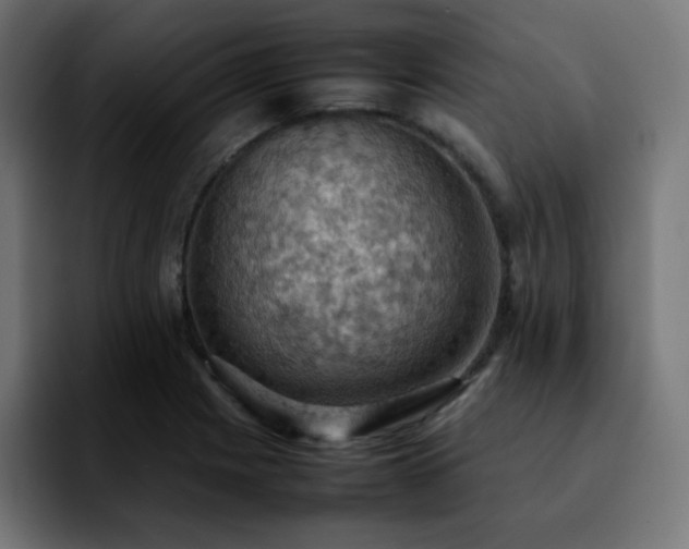 X0000092221225200709211002