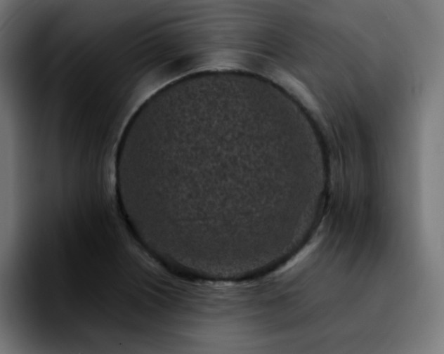 X0000092221226200709211002