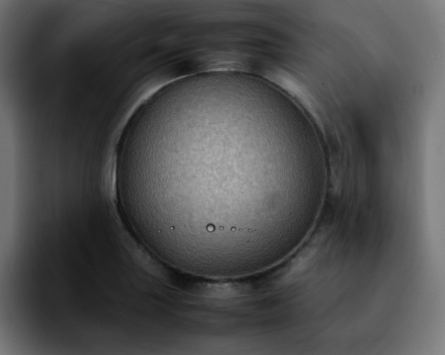 X0000092221227200709211002