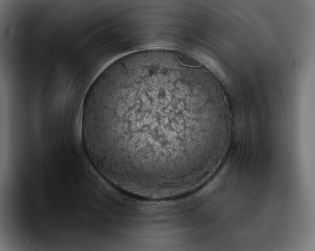 X0000092221228200709211002