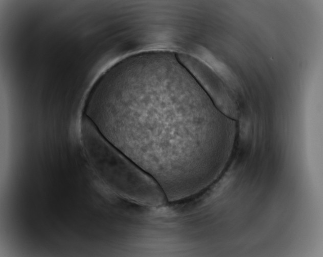 X0000092221230200709211002