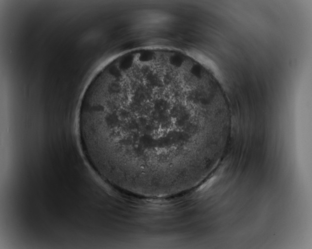 X0000092221231200709211002