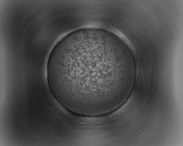 X0000092221232200709211002