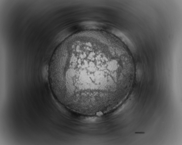 X0000092221233200709211002