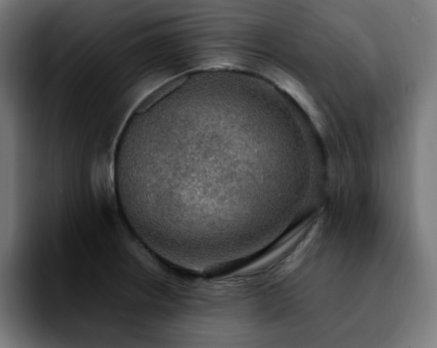 X0000092221234200709211002