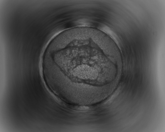 X0000092221235200709211002