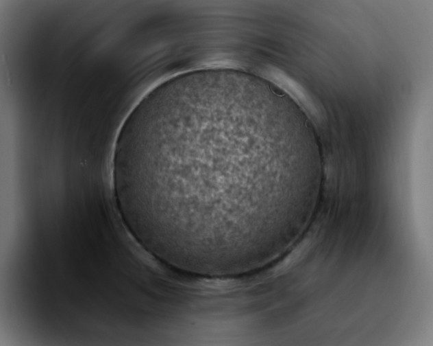 X0000092221236200709211002