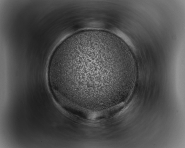 X0000092221237200709211002