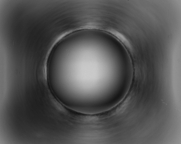 X0000092221238200709211002