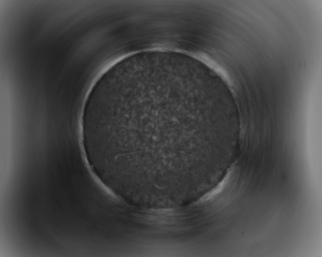 X0000092221239200709211002