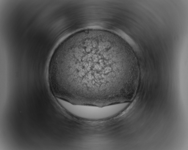 X0000092221240200709211002