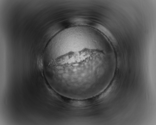 X0000092221241200709211002