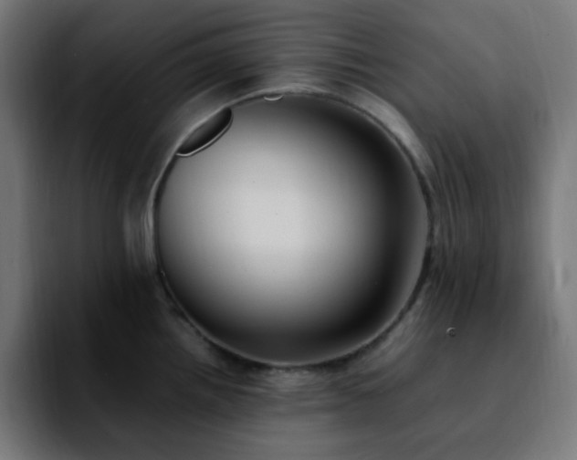 X0000092221242200709211002