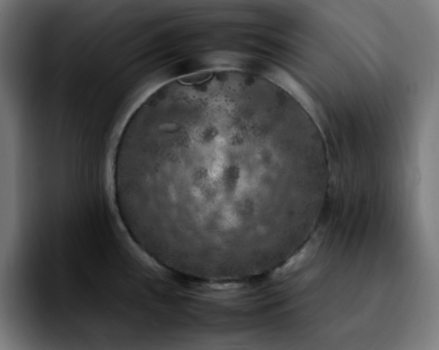 X0000092221243200709211002