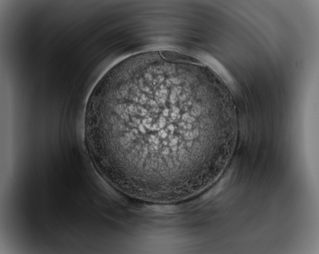 X0000092221244200709211002