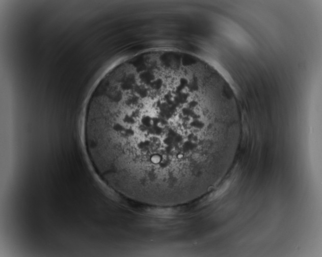 X0000092221245200709211002