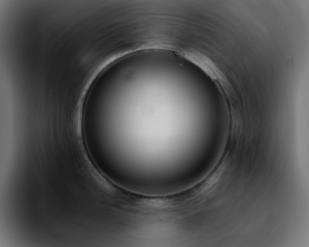 X0000092221246200709211002