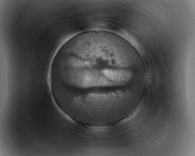 X0000092221247200709211002