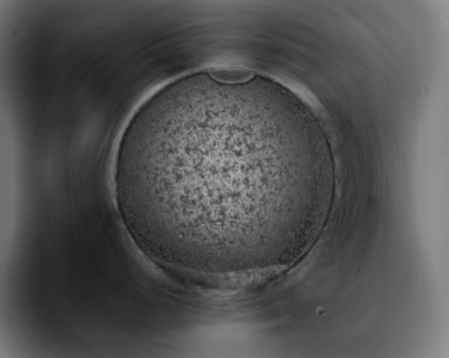X0000092221248200709211002