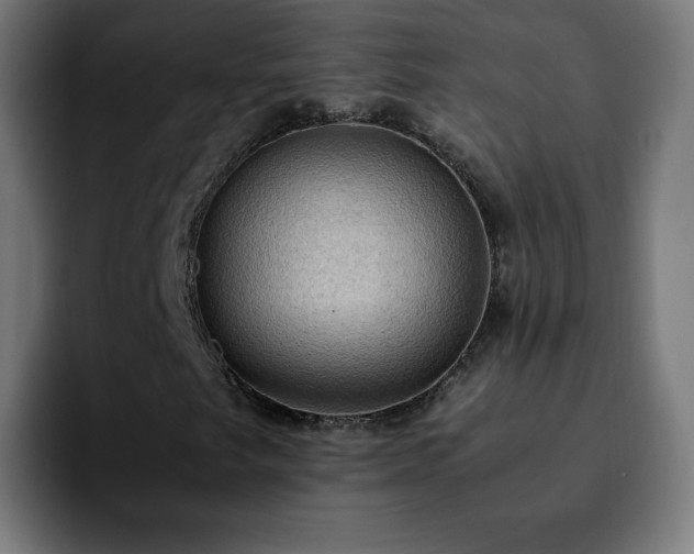 X0000092221249200709211001