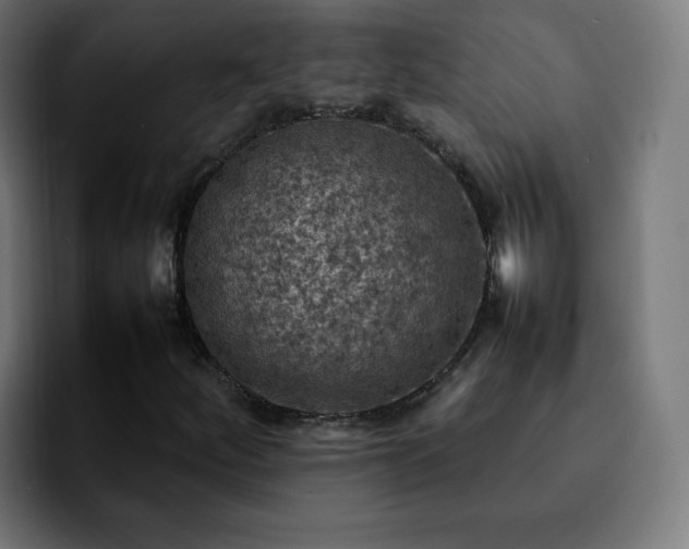 X0000092221252200709211001